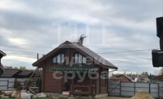 Грибная поляна в Щелковском районе